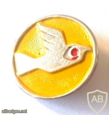 Yellow Bird Knights Squadron - Squadron- 131 img39007