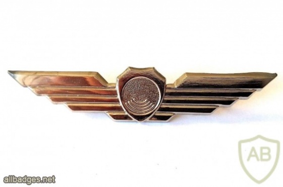 Hawk eye wings ( Air explorer ) img39145