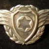 סמל כובע חיל האוויר img39165