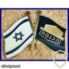 Israel flag and knesset flag img39296