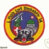  SWITZERLAND 14th Light AA Unit, Staff Battery patch