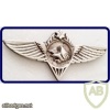 226th Division - Eagle Division img39379