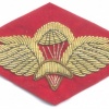 ETHIOPIA Army Basic Parachute wings badge, bullion on red
