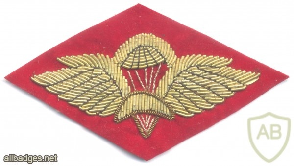 ETHIOPIA Army Basic Parachute wings badge, bullion on red img39448