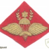 ETHIOPIA Army Master Parachute wings badge, bullion on red