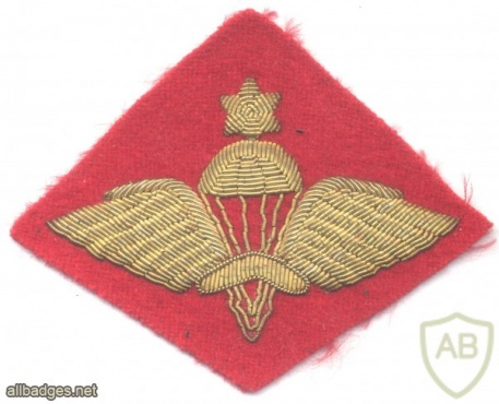 ETHIOPIA Army Senior Parachute wings badge, bullion on red img39449