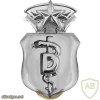 Air Force Dental Corps Badge Chief