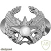 Air Force Commander's Insignia Badge img39526