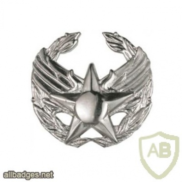 Air Force Commander's Insignia Badge img39525