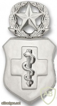 Air Force Enlisted Medical badge master img39502