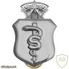 Air Force Biomedical Sciences Corps Badge Chief img39504