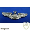 Air Force Aircrew Enlisted Senior Badge