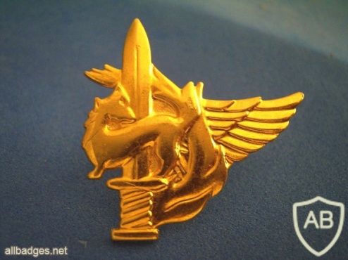 Givati ​​Warrior - Golden img39596