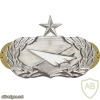 Air Force Historian Badge Senior img39550