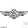 Air Force Aircrew Officer Badge Master img39514