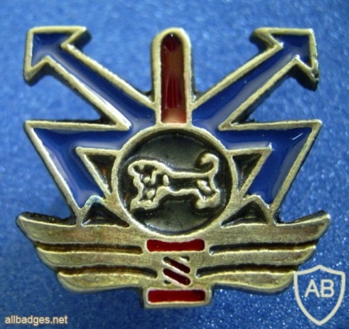 372nd Segev battalion - Central command img39626