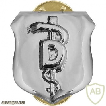 Air Force Dental Corps Badge img39533