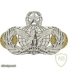 Air Force Force Protection Badge Master img39543
