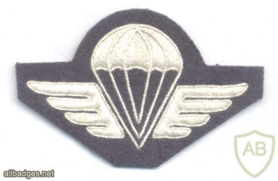KENYA Parachutist wings, cloth img39479