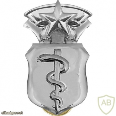 Air Force Medical Corps badge Chief img39584