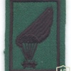 LATVIA National Guard (Zemessardze) 1st class Parachute Wing, cloth, black on green img39589