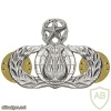Air Force Band Master Badge img39499
