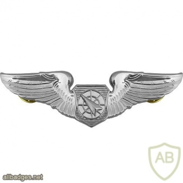 Air Force Air Battle Manager Badge img39486