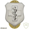 Air Force Enlisted Medical badge