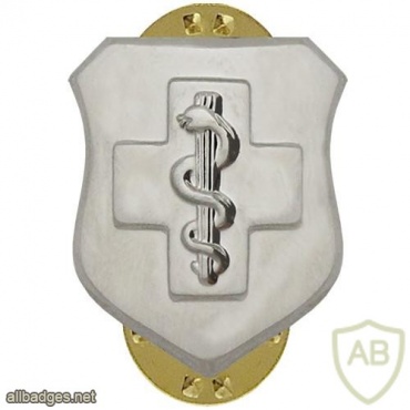 Air Force Enlisted Medical badge img39501