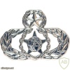 Air Force Safety Master Badge img39497