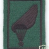 LATVIA National Guard (Zemessardze) 2nd class Parachute Wing, cloth, black on green img39588