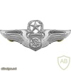 Air Force Air Battle Manager Master