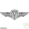 Air Force Flight Surgeon Badge Chief