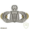 Air Force Command and Control Badge Master