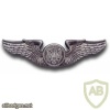 Air Force Aircrew Enlisted Badge img39489