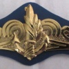 Naval officer - Golden