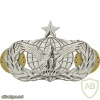 Air Force Force Protection Badge Senior
