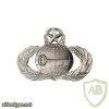 Air Force Intelligence Badge Master