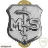 Air Force Medical Service Corps Badge img39702