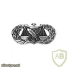 Air Force Paralegal Badge img39723