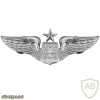 Air Force Navigator/Observer Badge senior img39713