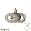 Air Force Intelligence Badge Senior