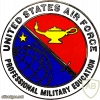 Air Force Professional Military Education Badge img39727