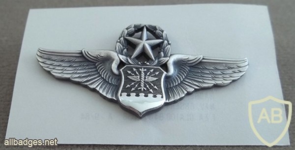Air Force Navigator/Observer Badge master, type 2 img39712