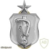 Air Force Veterinarian Badge senior