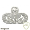 Air Force Services Badge Master