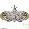 Air Force Paralegal Badge senior