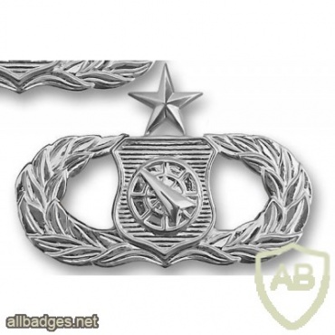 Air Force Weapons Director Badge senior img39781