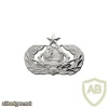 Air Force Cyberspace Support Badge Senior img39746