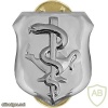 Air Force Nurse Corps Badge